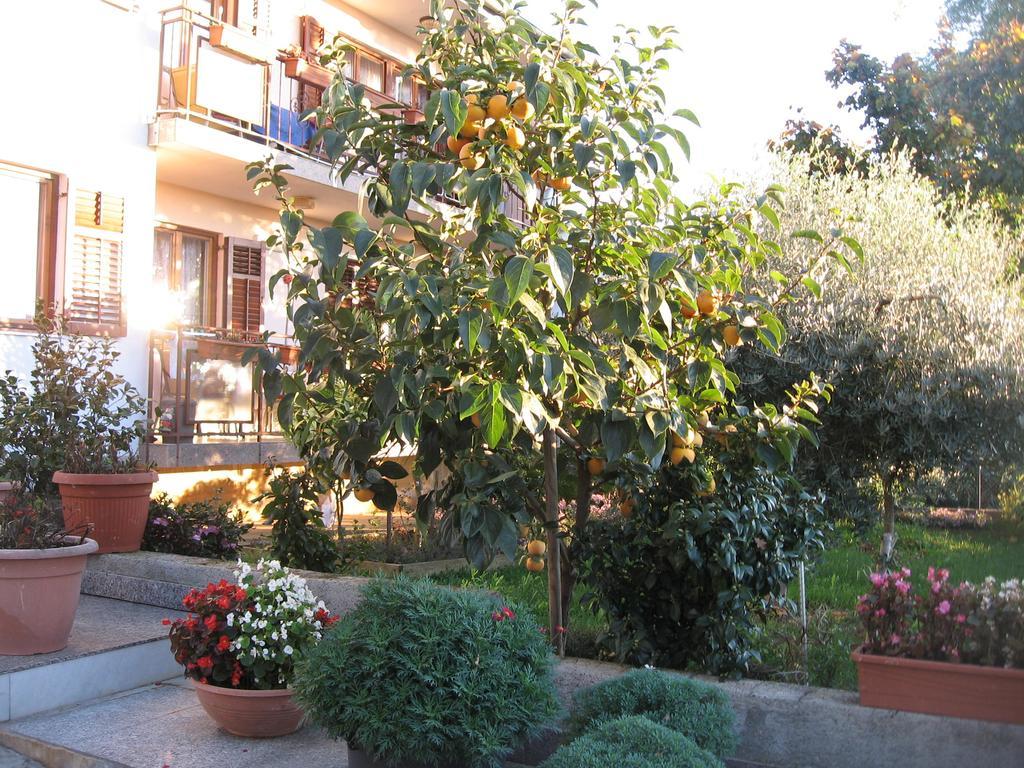 Apartments Adelita بوريتش المظهر الخارجي الصورة