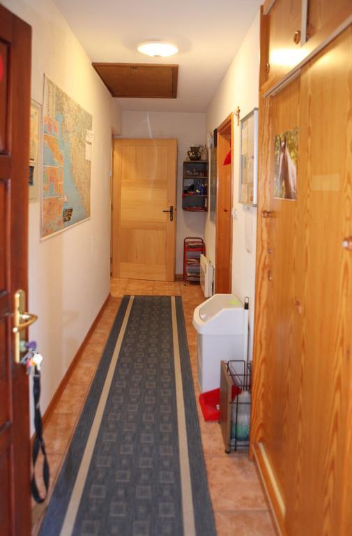 Apartments Adelita بوريتش المظهر الخارجي الصورة